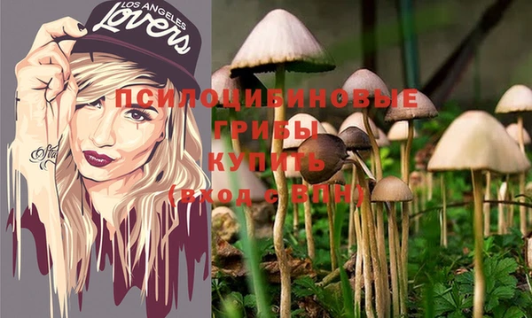 прущая мука Абаза