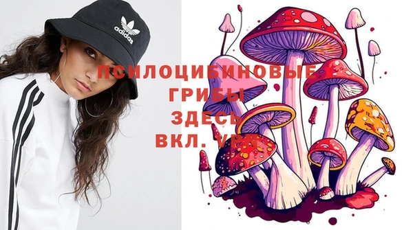 спиды Семикаракорск