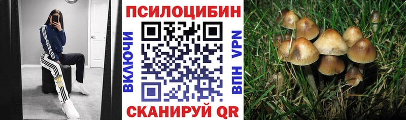 Псилоцибиновые грибы Cubensis  МЕГА вход  Благодарный  купить наркотик 