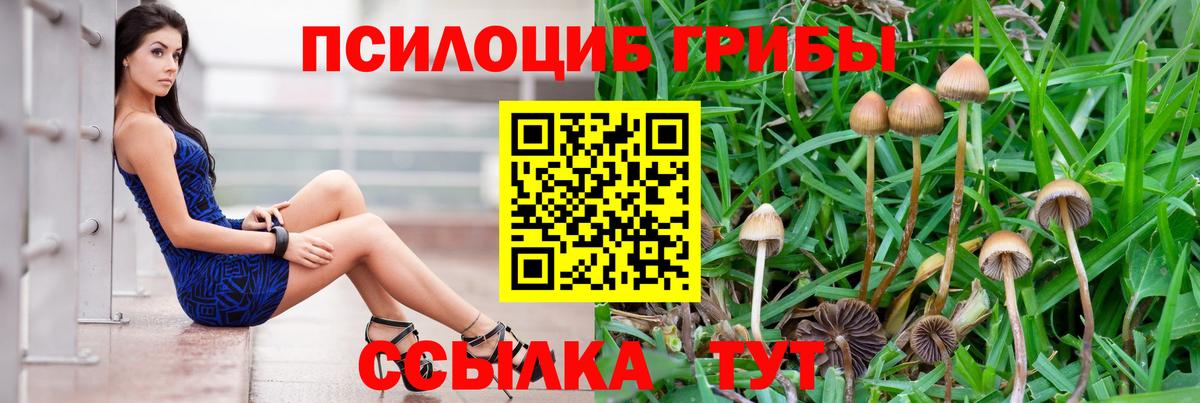 Благодарный  наркота  Вход с VPN  Псилоцибиновые грибы Magic Shrooms 